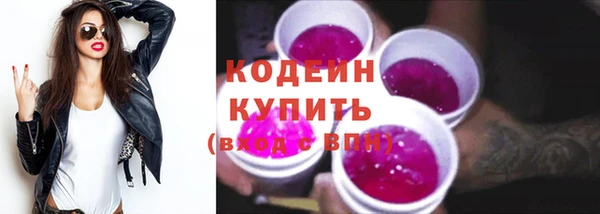 СК Дмитров