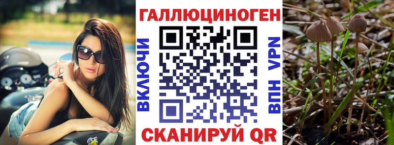 цена Новомичуринск Псилоцибиновые грибы ЛСД