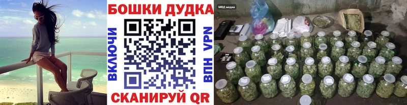 Конопля SATIVA & INDICA  кракен ONION  Новомичуринск 